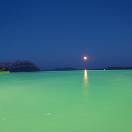 Villa And Pool Tavolara View Porto Istana Zewnętrze zdjęcie