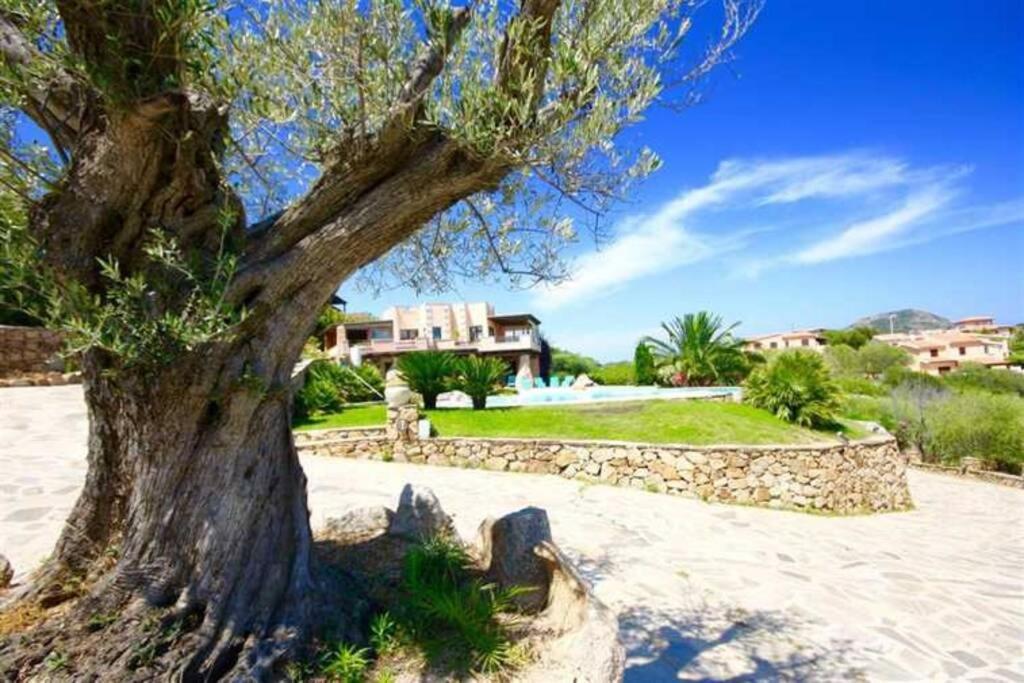 Villa And Pool Tavolara View Porto Istana Zewnętrze zdjęcie